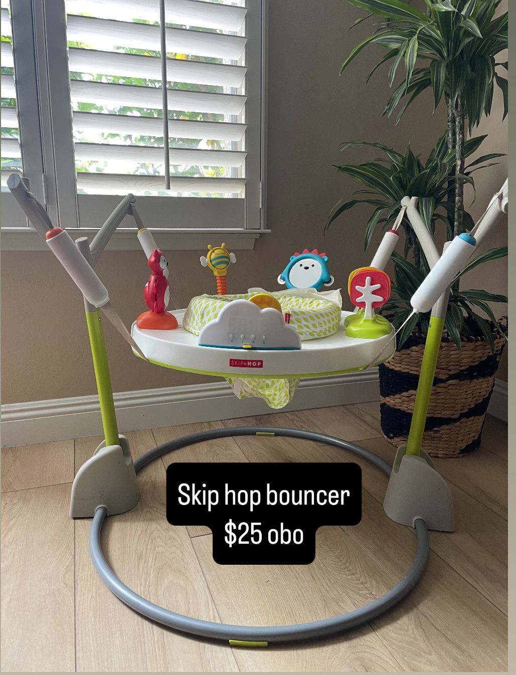 Skip Hop Bouncer/ Activity Center