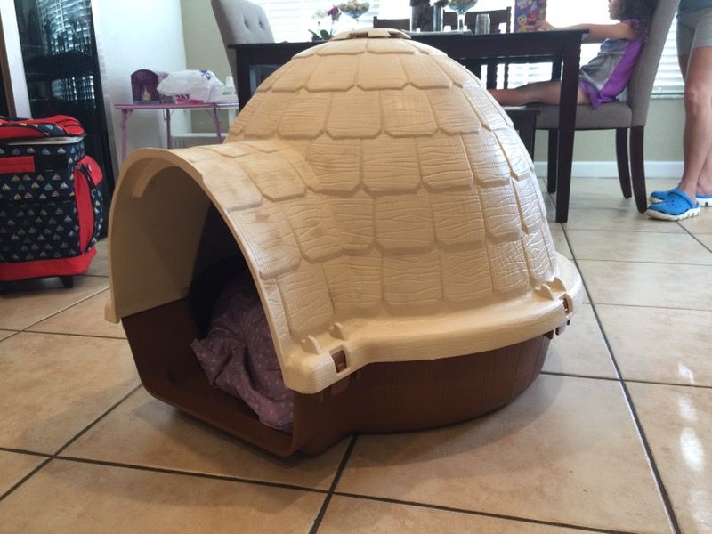 Igloo Dog House for Sale in Miami, FL OfferUp