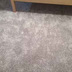 Used Carpet