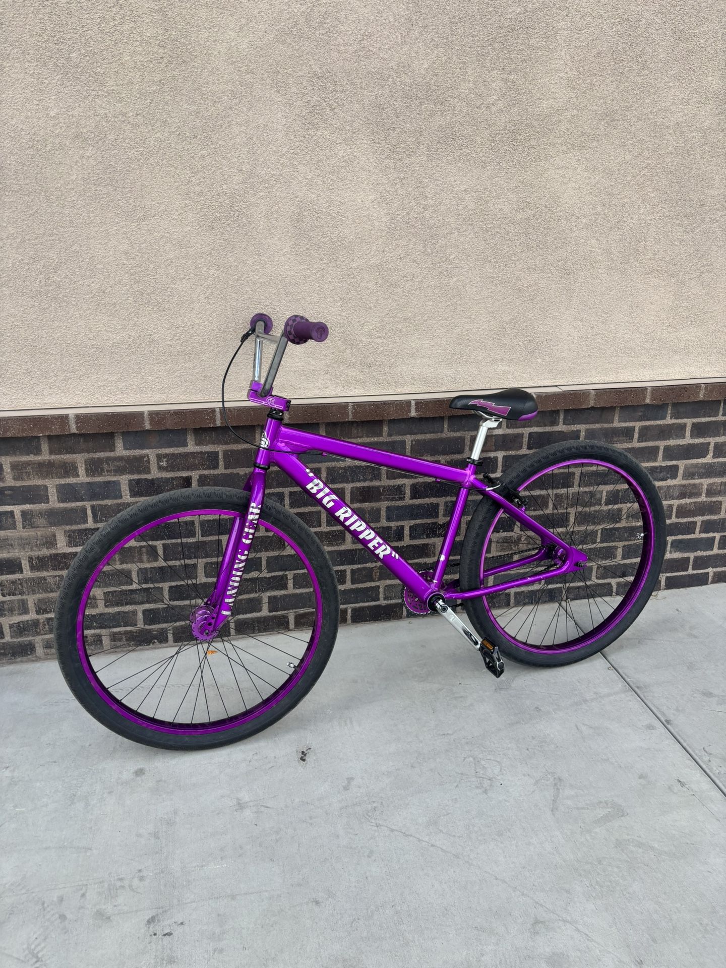 Purple Rain Se Bike 29in