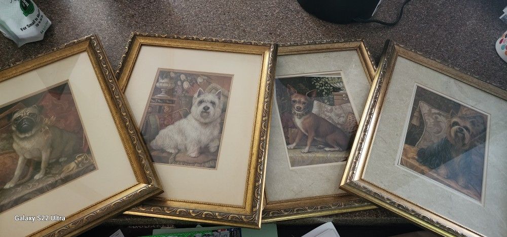 Prints For Sale 