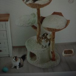 cat climbing frame