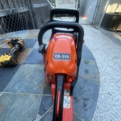 Cs310 Echo