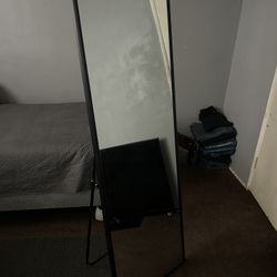 Black Vertical Frame Mirror