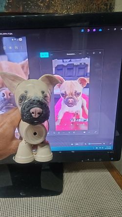 Pet Pots custom made pets