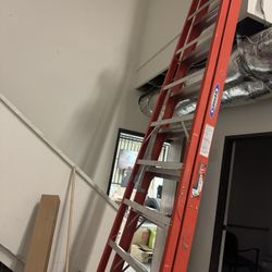 16 Ft Werner Ladder 