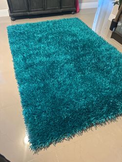 Like New 5x7 SHAG accent area RUG