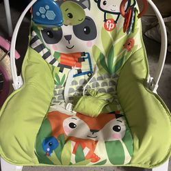 Fisher Price Bouncer Seat