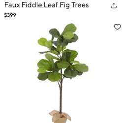 Pottery Barn Fiddle Trees 