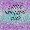 Little Wonders Toys 