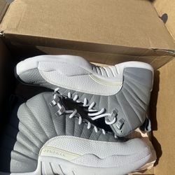 Jordan 12 Stealth 