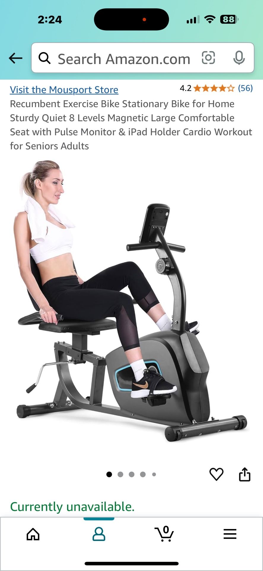 Recumbent Exercise Bike
