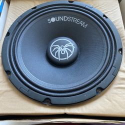 1 Bass Speaker