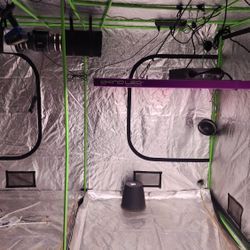 10x10 Grow Tent 