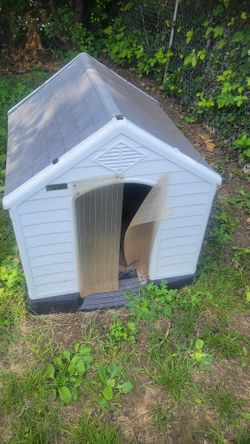 Dog House
