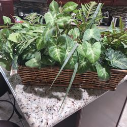 Decorative artificial plants