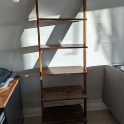 Ladder Bookcase 