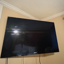 Sony Tv with Hanging Part