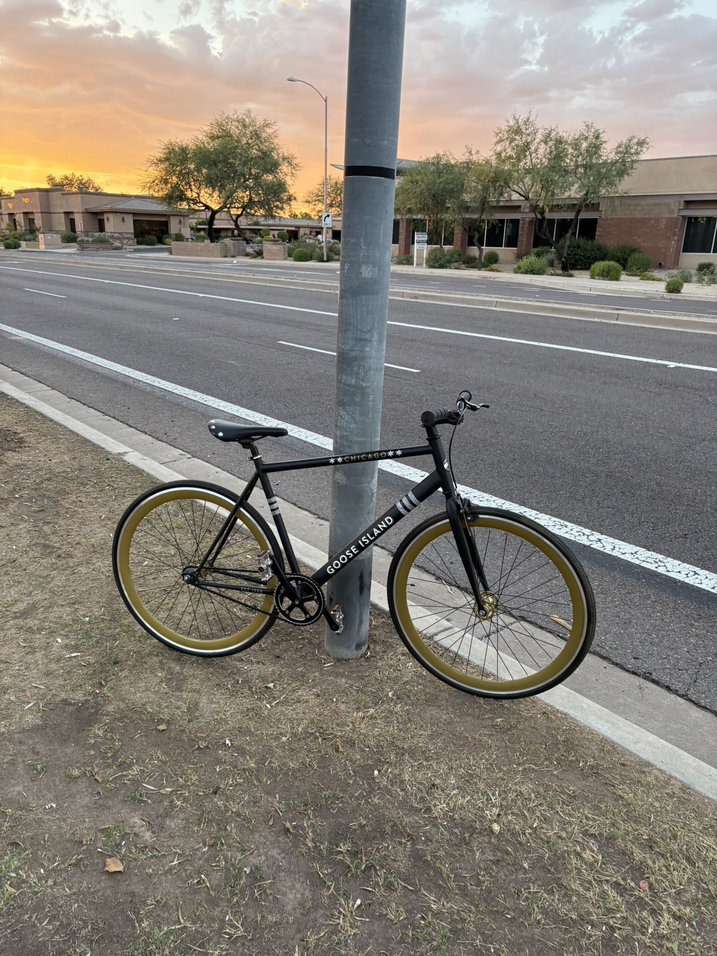 Sole Goose Island Black/Gold 52-53CM Fixie/Single Speed Bicycle-Ready to Ride!