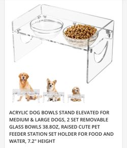 Dog Bowl