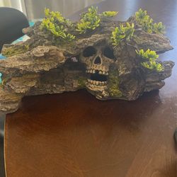 Aquarium Decorations