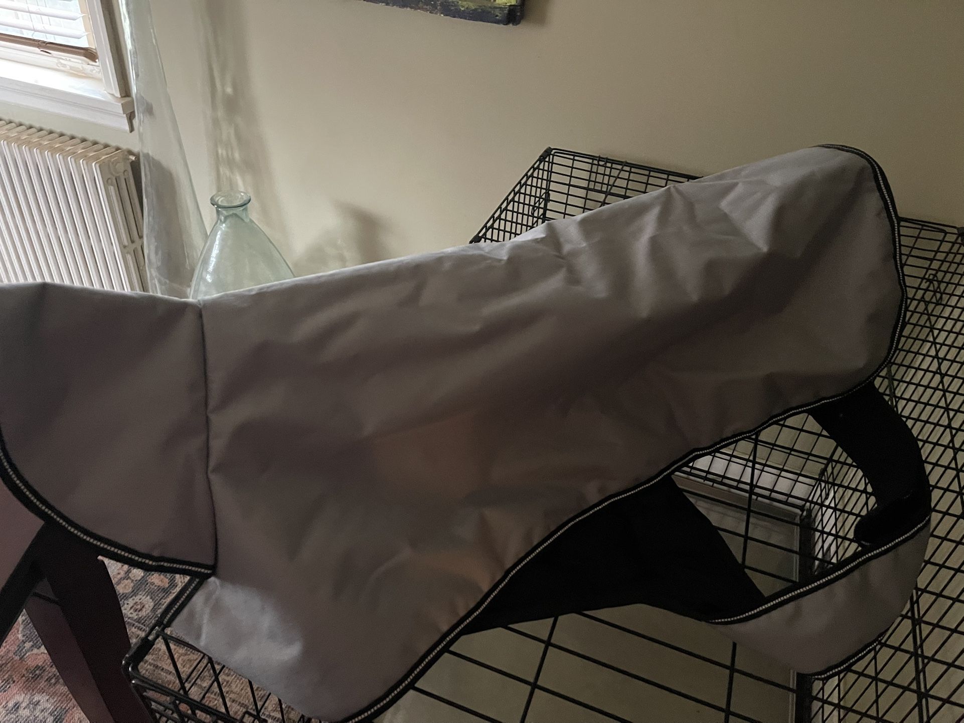 Petrageous Dog Raincoat