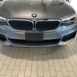 BMW Grills