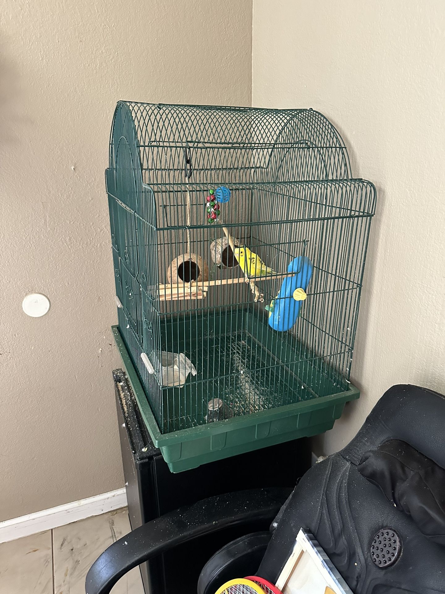 Se Vende Jaula