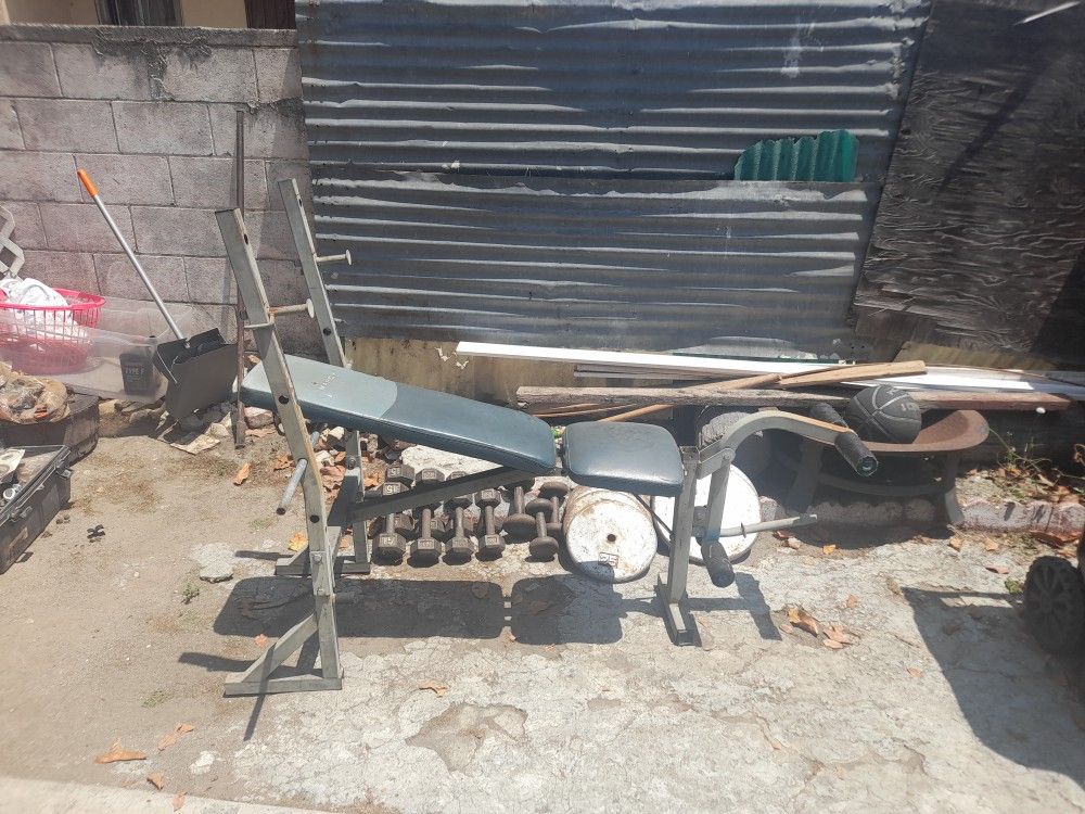 Workout Bench And WEIGHTS.