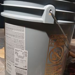 5 Gallon Premium Paint (Classical Gold)