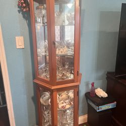 Display Case With Built In Lightning