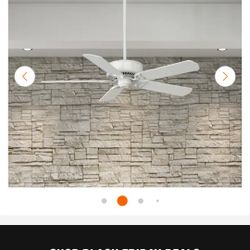 Ceiling Fan 