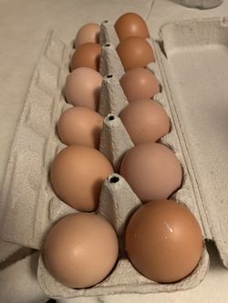 Farm fresh eggs