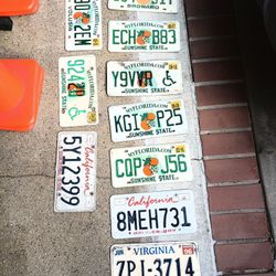 Lot Real License Plates / Bar & Restaurant Decor