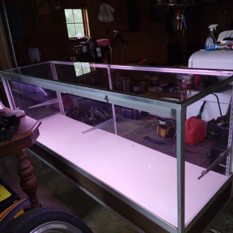 Display Case