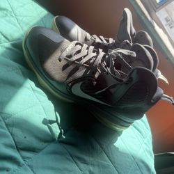 LeBron 9s