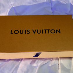 louis vuitton storage bag