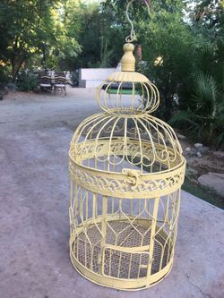 Bird Cage