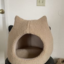 Pet Bed 