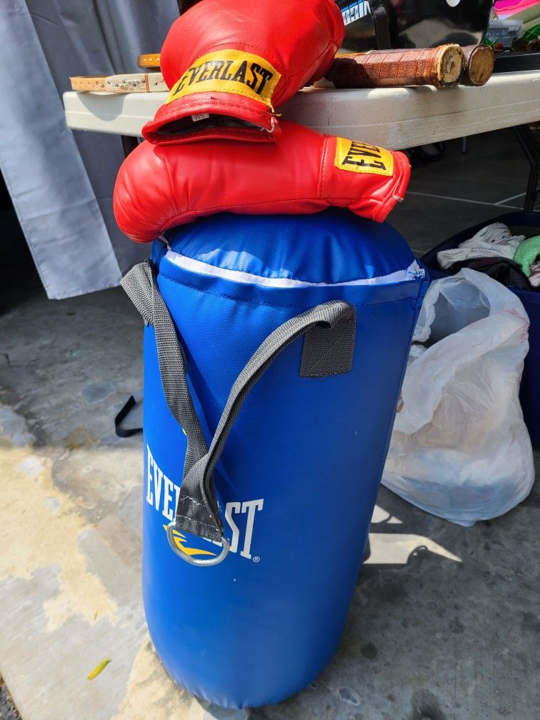 Everlast Youth Size Punching Boxing Bag With Glovrs