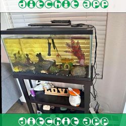 Ready-Made Aquarium Kit - Explore Underwater Beauty data best