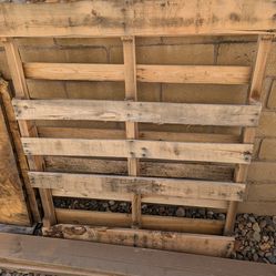 FREE wood pallet