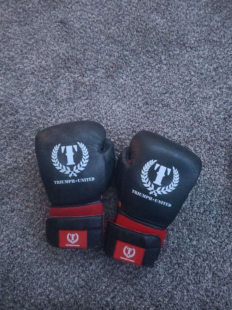Muay Thai Kickboxing Gloves
