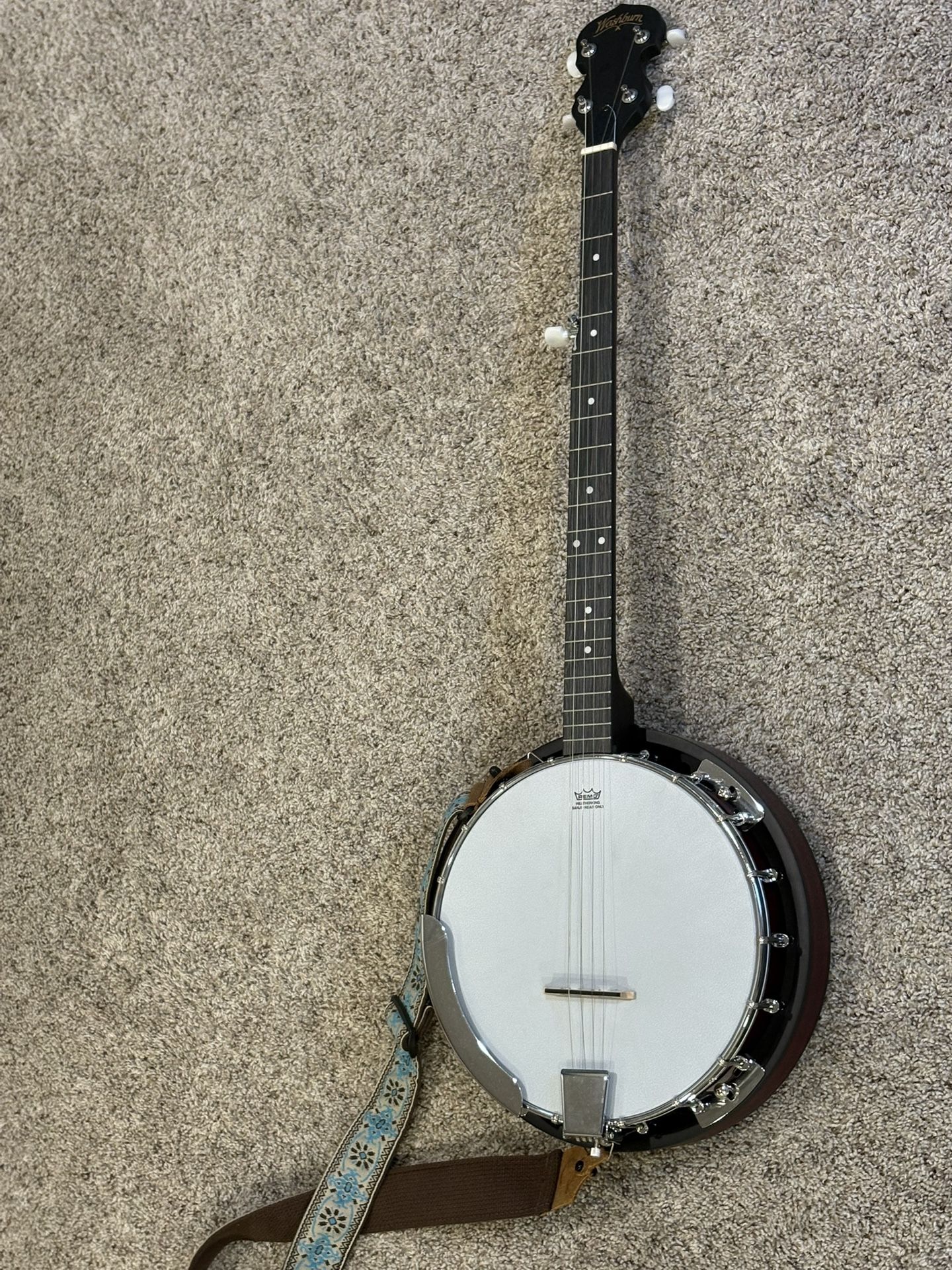 Washburn Banjo