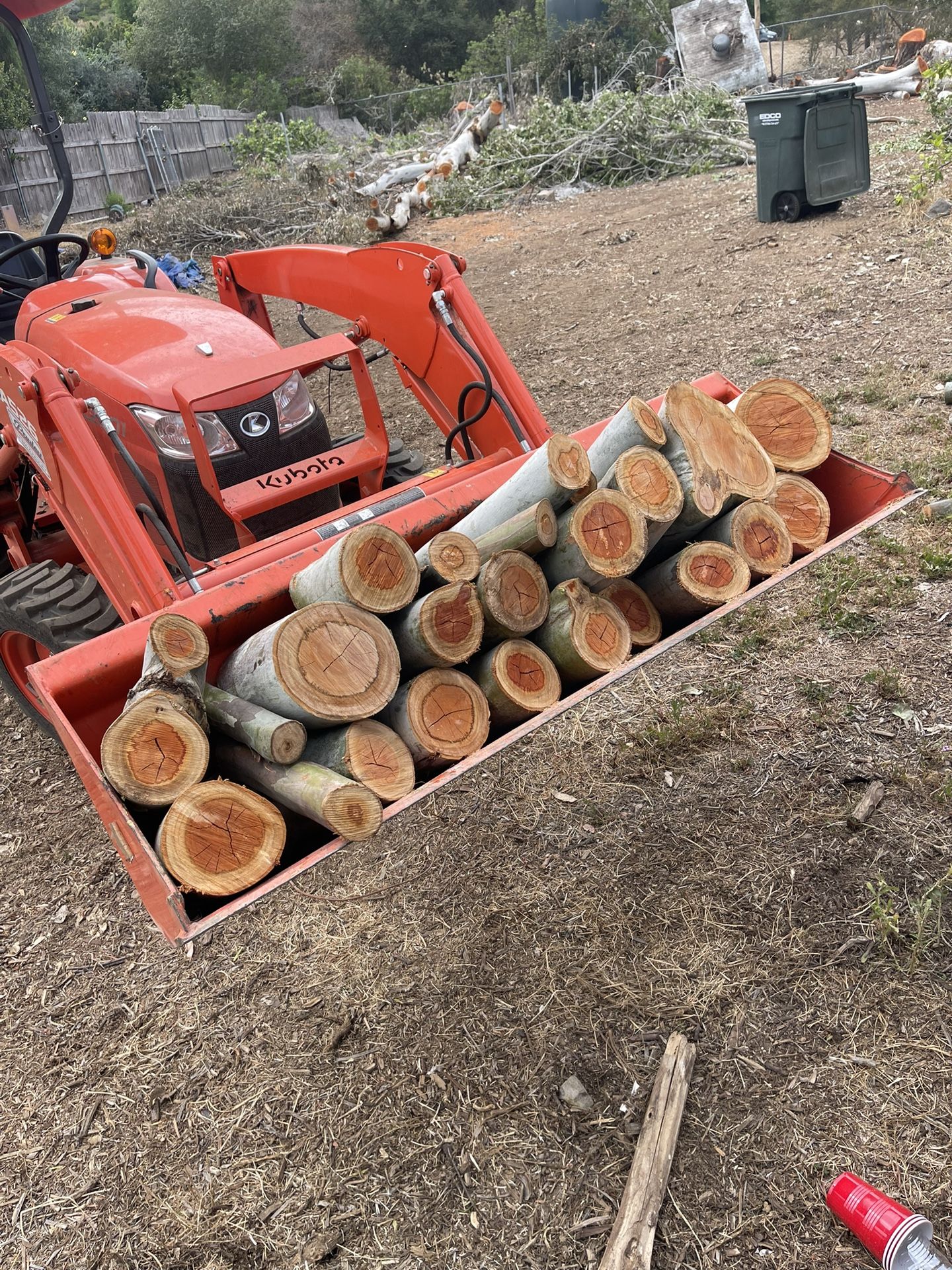 Firewood