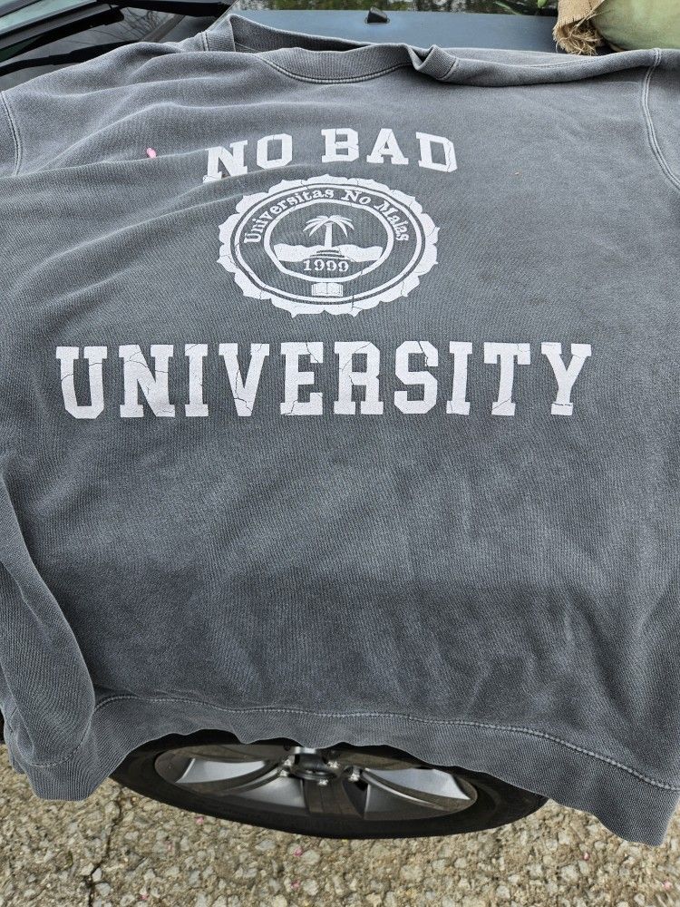 University Sweatshirt