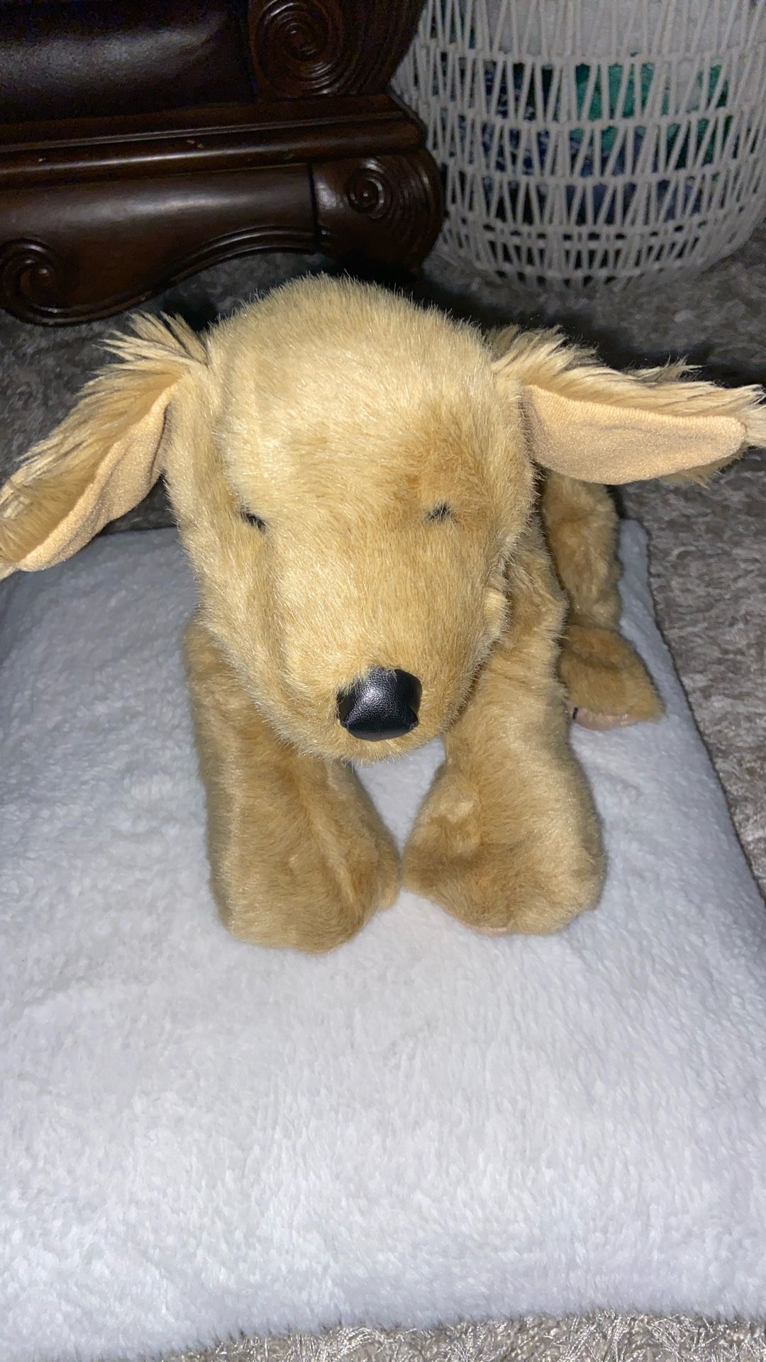Stuffed Animal. A Dog 13”