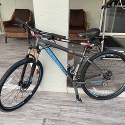 29” Mountain Bike