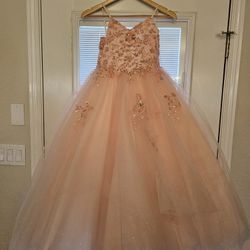 Mini Quinceañera / Flower Girl Dress