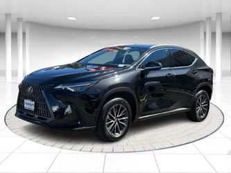 2024 Lexus NX 250